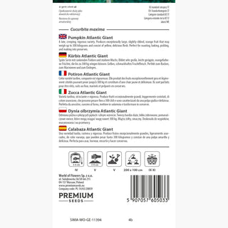 Zucca - Atlantic Giant - Varietà gigante da concorso