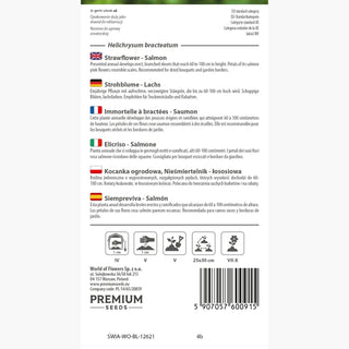 Elicriso - Salmone - Ideale per composizioni secche - Helichrysum bracteatum