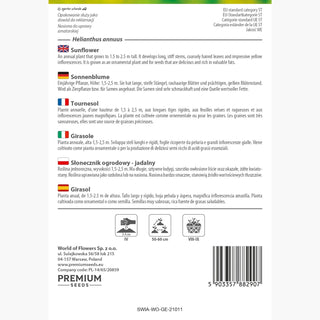 Girasole - Re degli snack e decorazione da giardino! - Helianthus annuus