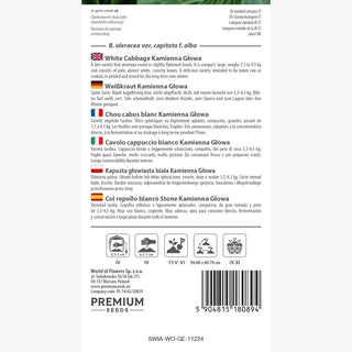 Cavolo cappuccio bianco Kamienna Głowa - Produttivo e durevole, perfetto per conserve - B. oleracea var. capitata f. alba