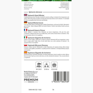 Spinacio Gigante d'Inverno - Sapore delicato, rese abbondanti - Spinacia oleracea
