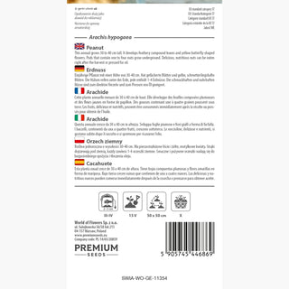 Arachide - Fioritura bellissima con abbondante raccolto di arachidi! - Arachis hypogaea