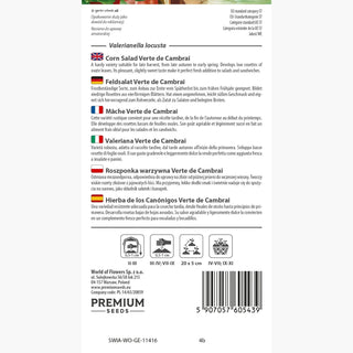 Valeriana - Verte de Cambrai - Ricca di vitamine, dal sapore delicato - Valerianella locusta