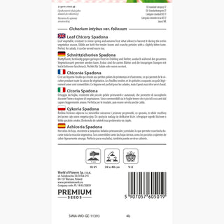 Cicoria - Spadona - Foglie delicate, succose e fresche