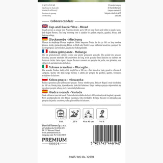 Cobaea scandens - Miscuglio - Rampicante unico, super bello e a crescita rapida! - Cobaea scandens