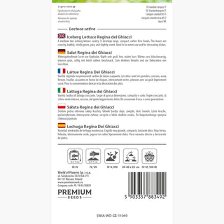 Lattuga Regina Dei Ghiacci - Gustosa aggiunta a qualsiasi piatto