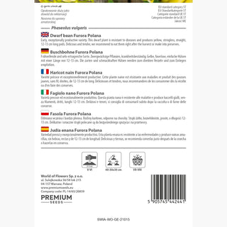 Fagiolo nano Furora Polana - Raccolto abbondante, baccelli delicati e carnosi!