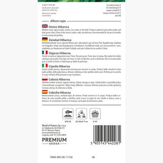 Cipolla Hiberna - Grande e succosa - eccellente per la conservazione! - Allium cepa