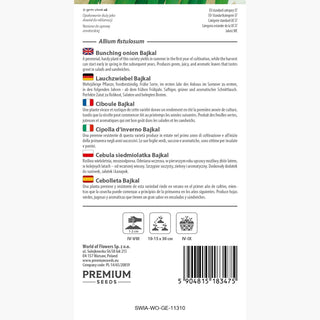 Cipolla d'inverno Bajkal - Cipollotto perenne dal sapore intenso