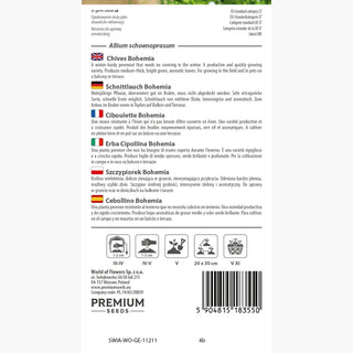Erba Cipollina Bohemia - Aroma intenso, alta produttività e crescita vigorosa