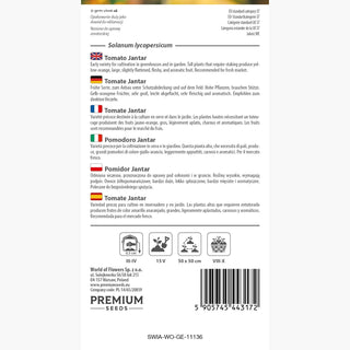 Pomodoro Jantar - Facile da coltivare, alta produttività, sapore eccellente