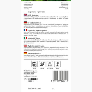 Saponaria Rossa - Fiori profumati in tonalità pastello - Saponaria ocymoides