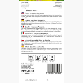 Violacciocca - Excelsior Avalanche - Bianco classico per aiuole e bouquet - Matthiola incana