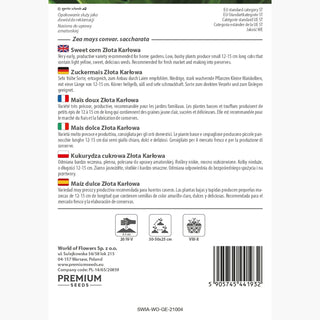 Mais dolce Dorato Nano - Facile da coltivare anche per principianti! - Zea mays convar. saccharata