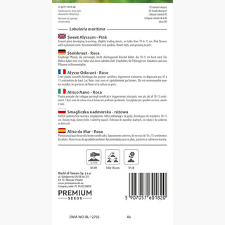 Alisso Nano - Rosa - Compatta dal profumo intenso di miele - Lobularia maritima