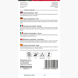 Verbena da giardino - Rosso - Intensa, perfetta per aiuole e vasi - Verbena hybrida