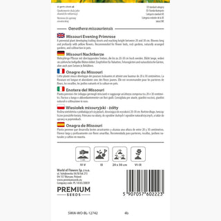 Enotera del Missouri - Strisciante, ornamentale per scarpate - Oenothera missouriensis
