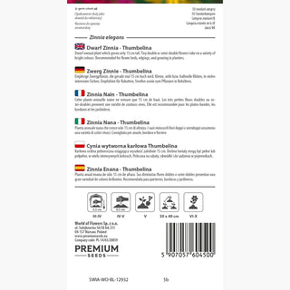 Zinnia Nana - Thumbelina - Varietà compatta ideale per cassette - Zinnia elegans