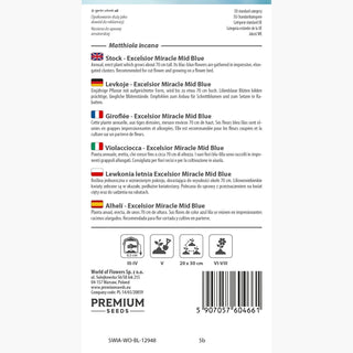 Violacciocca - Excelsior Miracle Mid Blue - Fiori estivi abbondanti e profumati - Matthiola incana