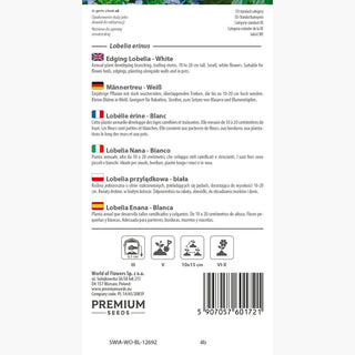 Lobelia Nana - Bianco - Affidabile decorazione per balconi - Lobelia erinus