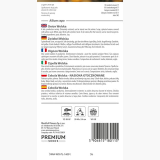 Cipolla Wolska - Varietà tardiva con rese impressionanti e sapore senza pari! - Allium cepa