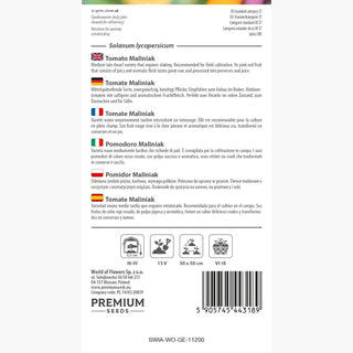 Pomodoro Maliniak - Frutti succosi, facile da coltivare, eccellente fresco e per conserve