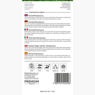 Finocchio Romanesco - Bulbi giganti e carnosi. eccellente per friggere e cucinare! - Foeniculum vulgare