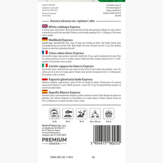 Cavolo cappuccio bianco Express - Regina dei raccolti precoci! esplosione istantanea di sapore! - Brassica oleracea var. capitata f. alba