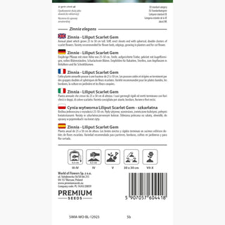 Zinnia - Liliput Scarlet Gem - Accento scarlatto nella tua aiuola - Zinnia elegans