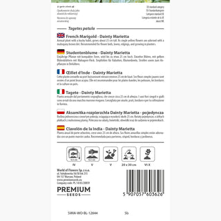 Tagete - Dainty Marietta - Fiorisce fino alle prime gelate - Tagetes patula