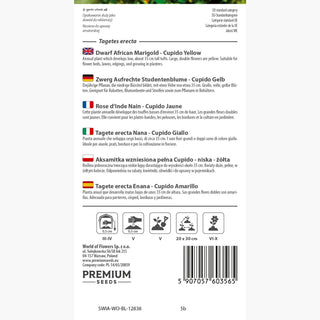 Tagete erecta Nana - Cupido Giallo - Accento solare nel tuo giardino - Tagetes erecta