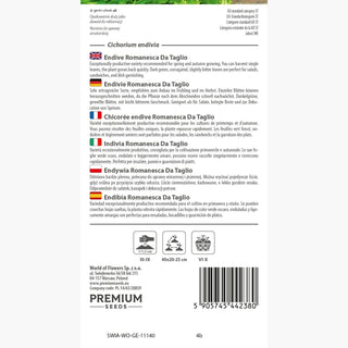 Indivia Romanesca Da Taglio - Estremamente gustosa! - sapore dolce e leggermente amaro! - Cichorium endivia