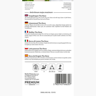 Bocca di Leone - The Rose - Grappoli abbondanti di fiori, super belli! - Antirrhinum majus maximum