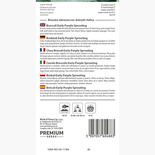 Cavolo Broccolo - Early Purple Sprouting - Varietà precoce per l’inizio della stagione
