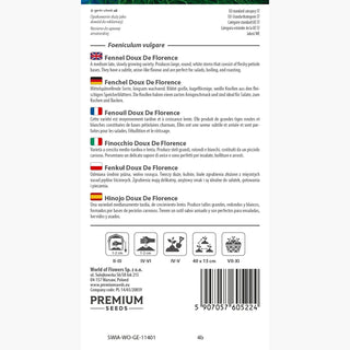 Finocchio - Doux De Florence - Finocchio aromatico - Foeniculum vulgare
