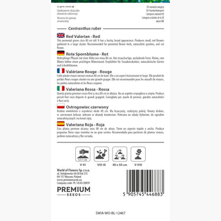 Valeriana Rossa - Rossa - Eccezionalmente bella con una fragranza straordinaria! - Centranthus ruber