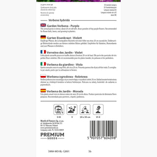 Verbena da giardino - Viola - Portamento compatto, fioritura prolungata - Verbena hybrida