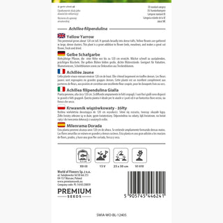 Achillea filipendulina Gialla - Fragranza delicata, super bella e attraente per le farfalle! - Achillea filipendulina