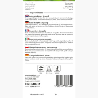 Papavero comune - Decorazione infuocata per bordure! - Papaver rhoeas