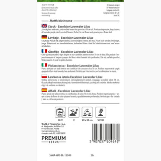 Violacciocca - Excelsior Lavender Lilac - Fiori incantevoli pieni di romanticismo - Matthiola incana