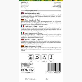 Saxifraga arendsii - Rosso - Sempreverde, perfetta per giardini rocciosi - Saxifraga arendsii