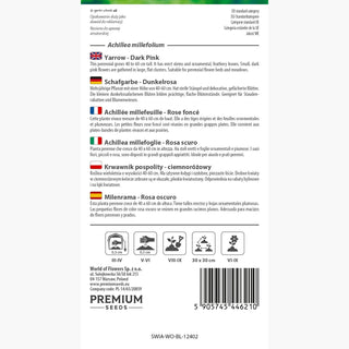 Achillea millefoglie Rosa scuro - Resistente alle condizioni avverse e meravigliosamente fiorita! - Achillea millefolium