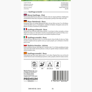 Saxifraga arendsii - Rosa - Resistente e longeva, ideale per bordure - Saxifraga arendsii