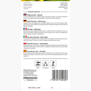 Reseda odorata - Miscuglio - Colorata dal profumo dolce e gradevole - Reseda odorata