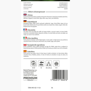 Erba cipollina - Sapore delicato, facile da coltivare e resistente al gelo