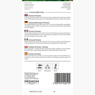 Cosmea Picotee - Ornamento da giardino sorprendente! - Cosmos bipinnatus