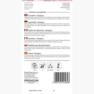 Garofano - Benigna - Varietà ideale per fiore reciso - Dianthus caryophyllus