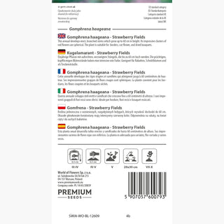 Gomphrena haageana - Strawberry Fields - Rosso intenso per aiuole e bouquet - Gomphrena haageana