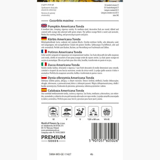 Zucca - Americana Tonda - Raccolti abbondanti, per gli amanti dei giganti