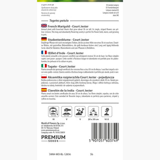 Tagete - Court Jester - Fioritura lunga e abbondante - Tagetes patula